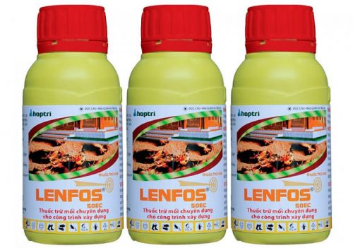 Thuốc diệt mối hải phòng